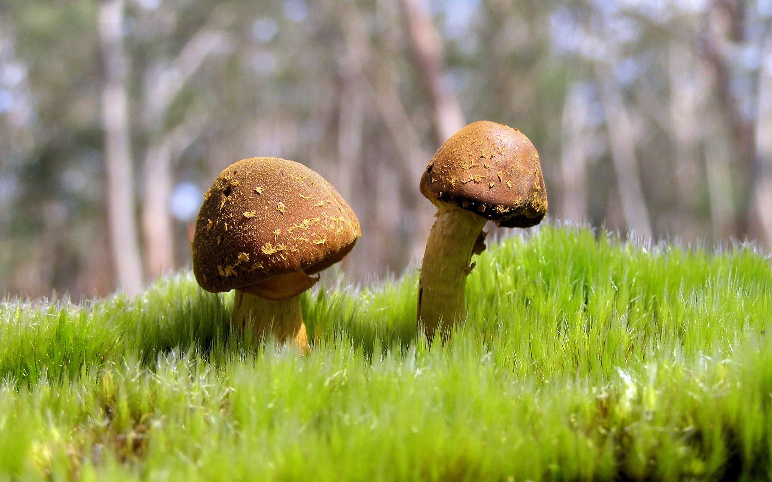 20240515192013_34791