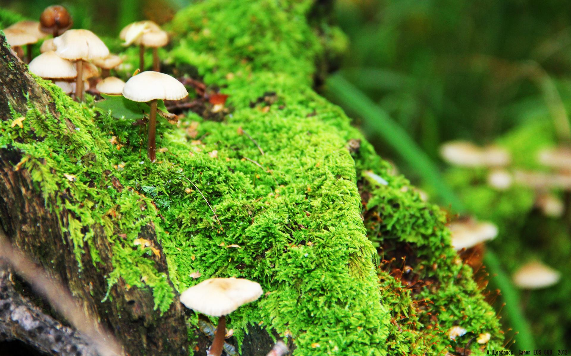 20240515193811_75521 20240515193811_75521