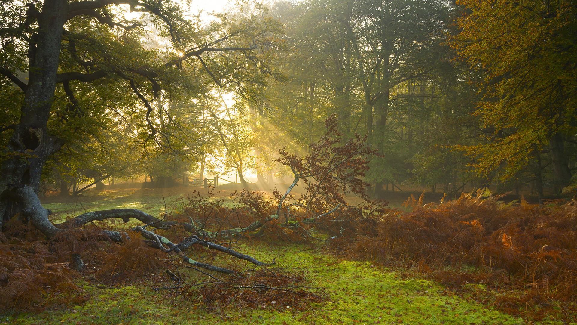 20240515234711_91844